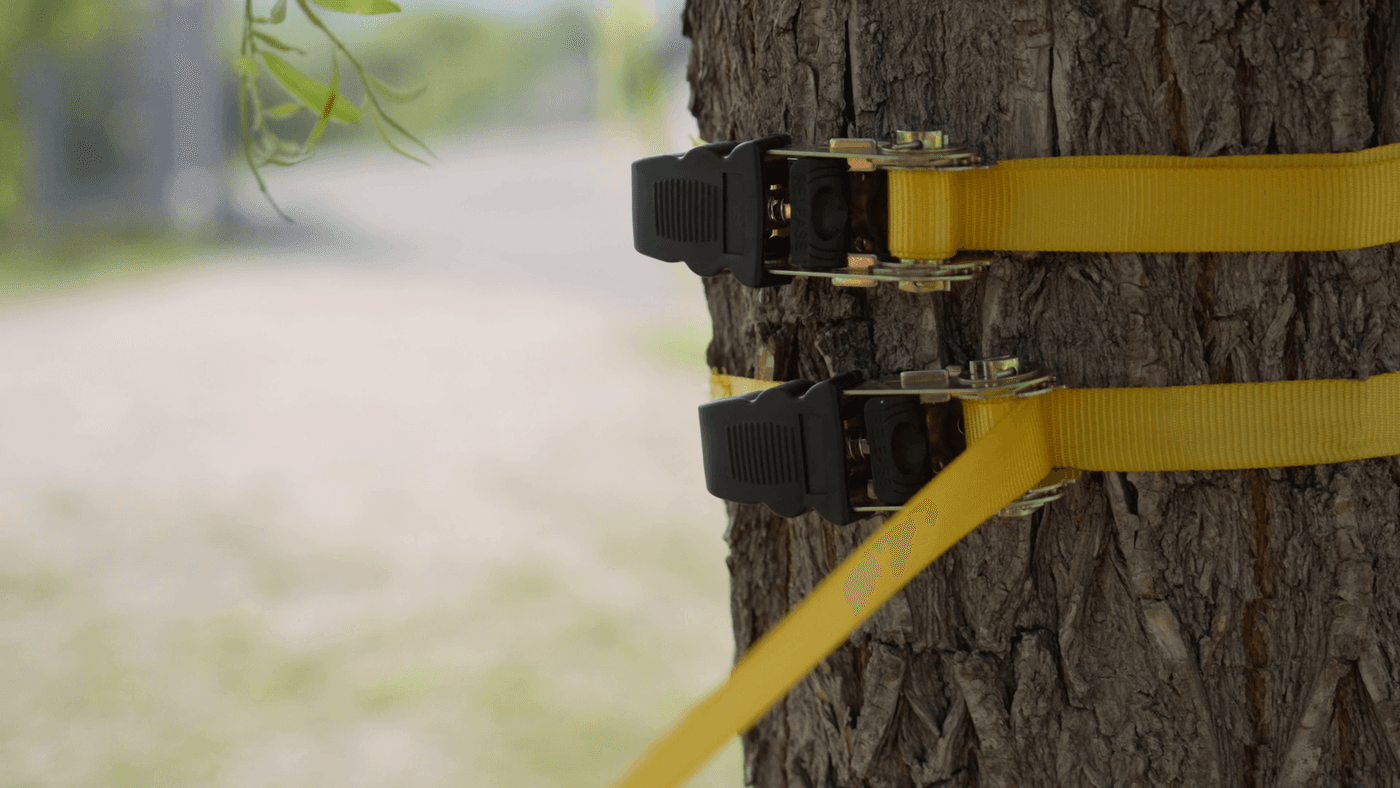 Strap Mount