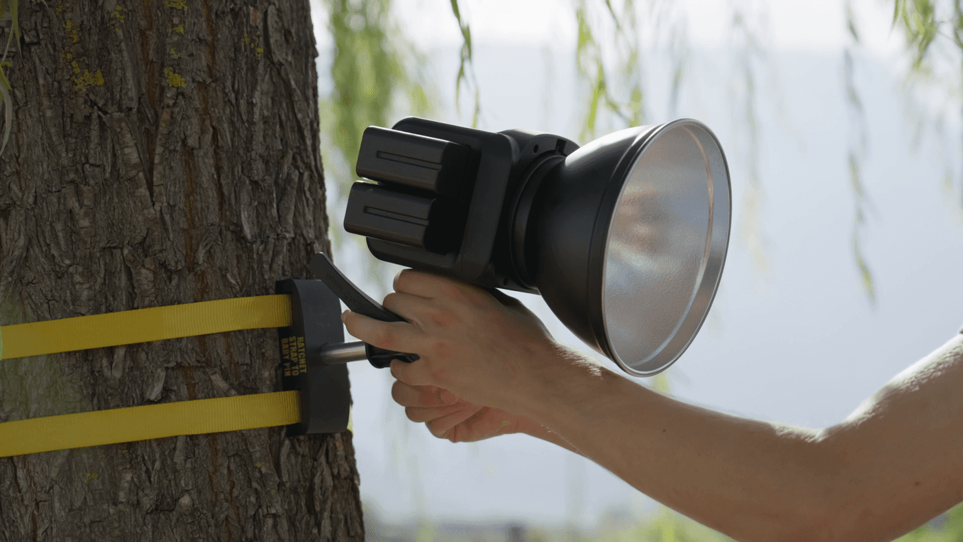 Strap Mount